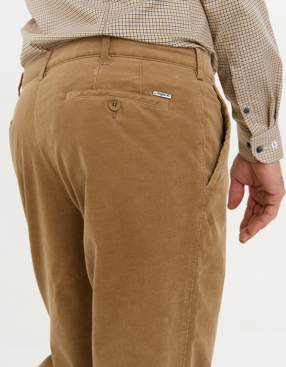 Брюки вельветовые бежевые w.Wegener | купить в интернет-магазине Olymp-Men