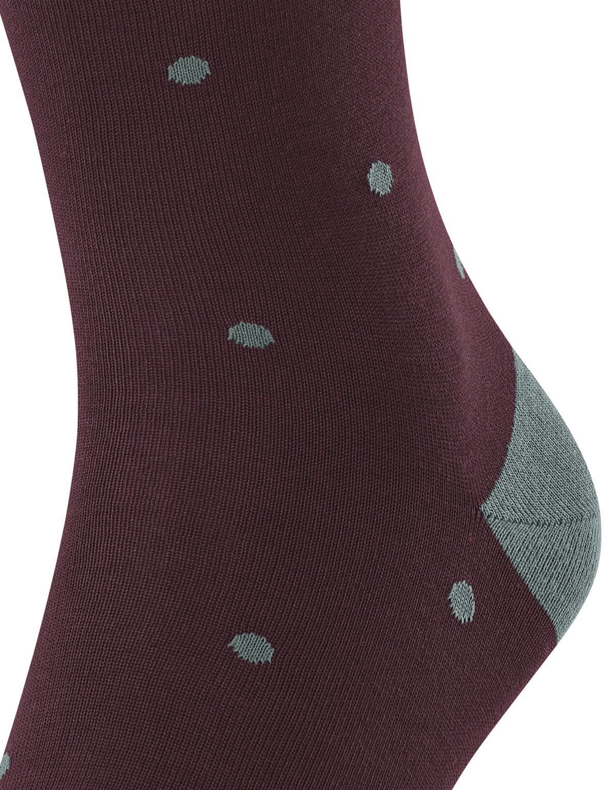 Носки мужские бордовые в горох FALKE | купить в интернет-магазине Olymp-Men