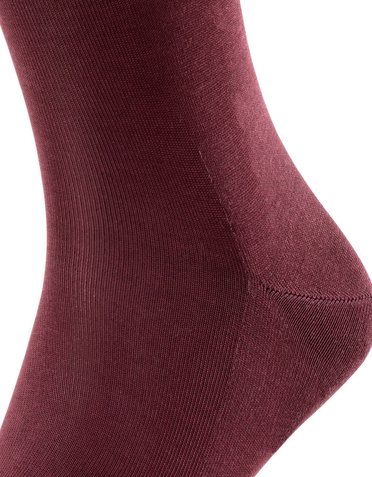 Носки мужские бордовые FALKE из шотландской нити | купить в интернет-магазине Olymp-Men