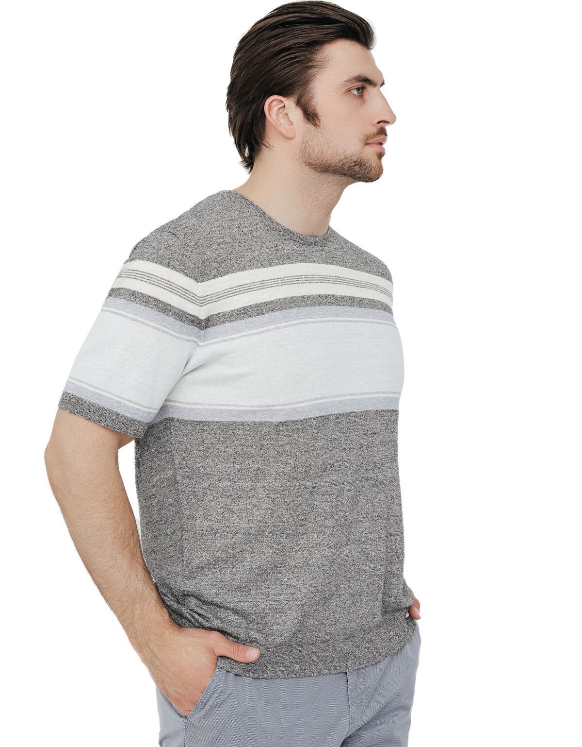 Джемпер мужской с коротким рукавом Gratude | интернет-магазин Olymp-Men