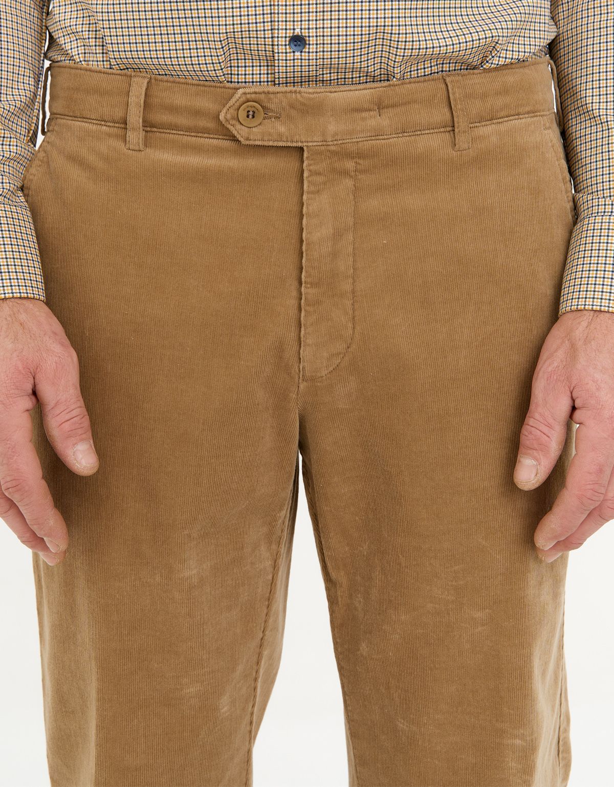 Брюки вельветовые бежевые w.Wegener | купить в интернет-магазине Olymp-Men