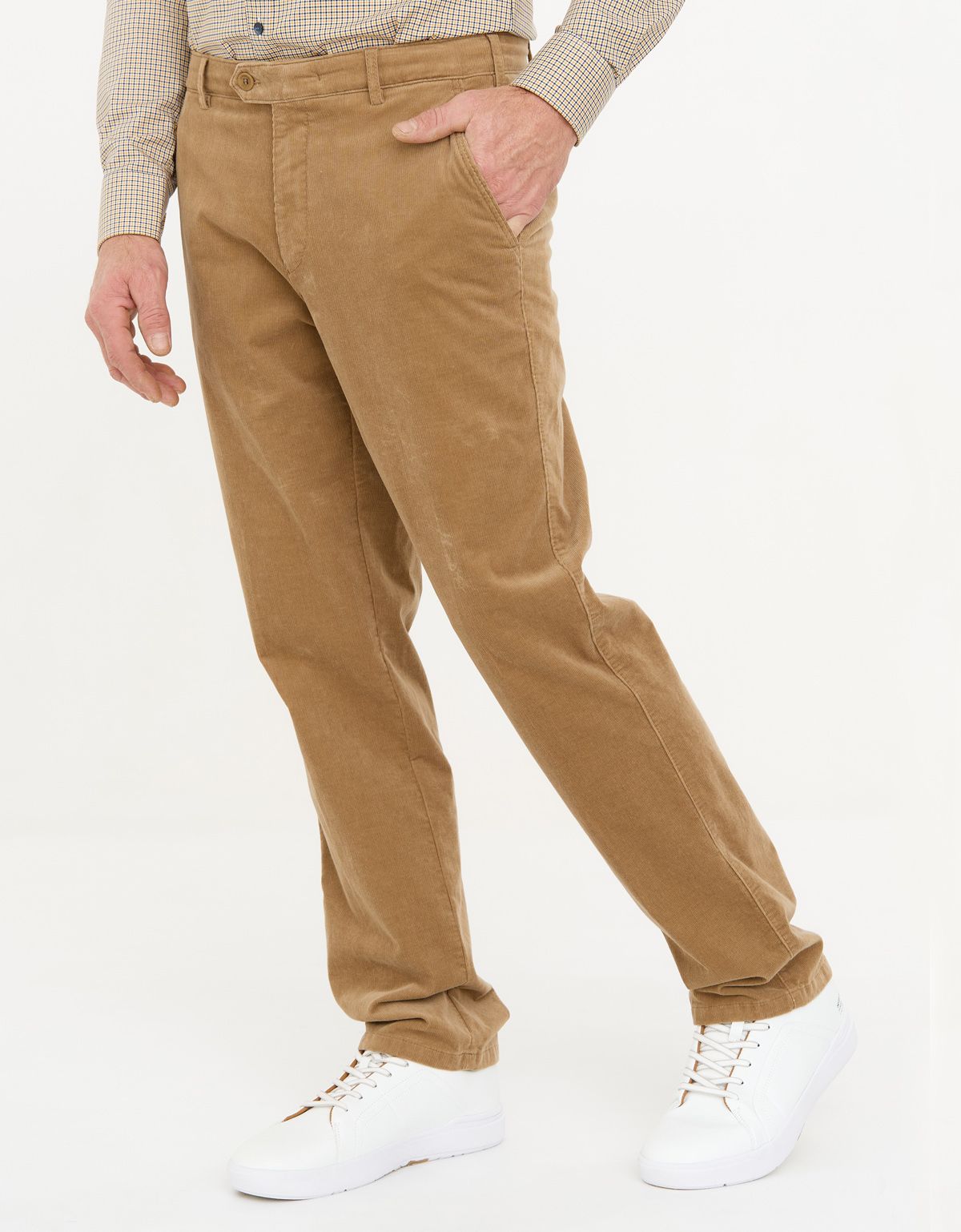 Брюки вельветовые бежевые w.Wegener | купить в интернет-магазине Olymp-Men