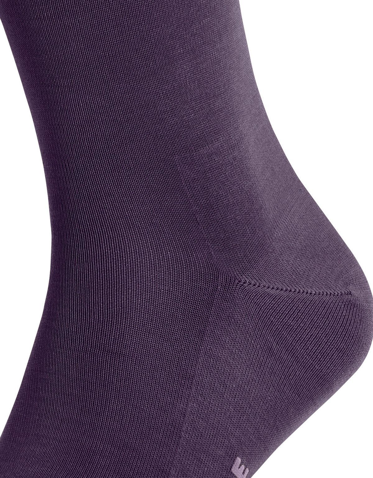 Носки мужские фиолетовые FALKE из шотландской нити | купить в интернет-магазине Olymp-Men
