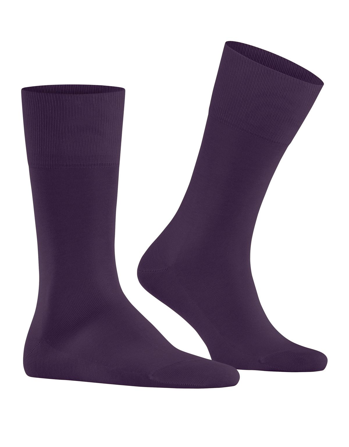 Носки мужские фиолетовые FALKE из шотландской нити | купить в интернет-магазине Olymp-Men