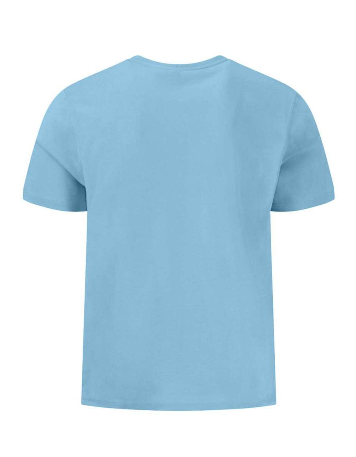 Футболка мужская голубая однотонная Fynch-Hatton | купить в интернет-магазине Olymp-Men