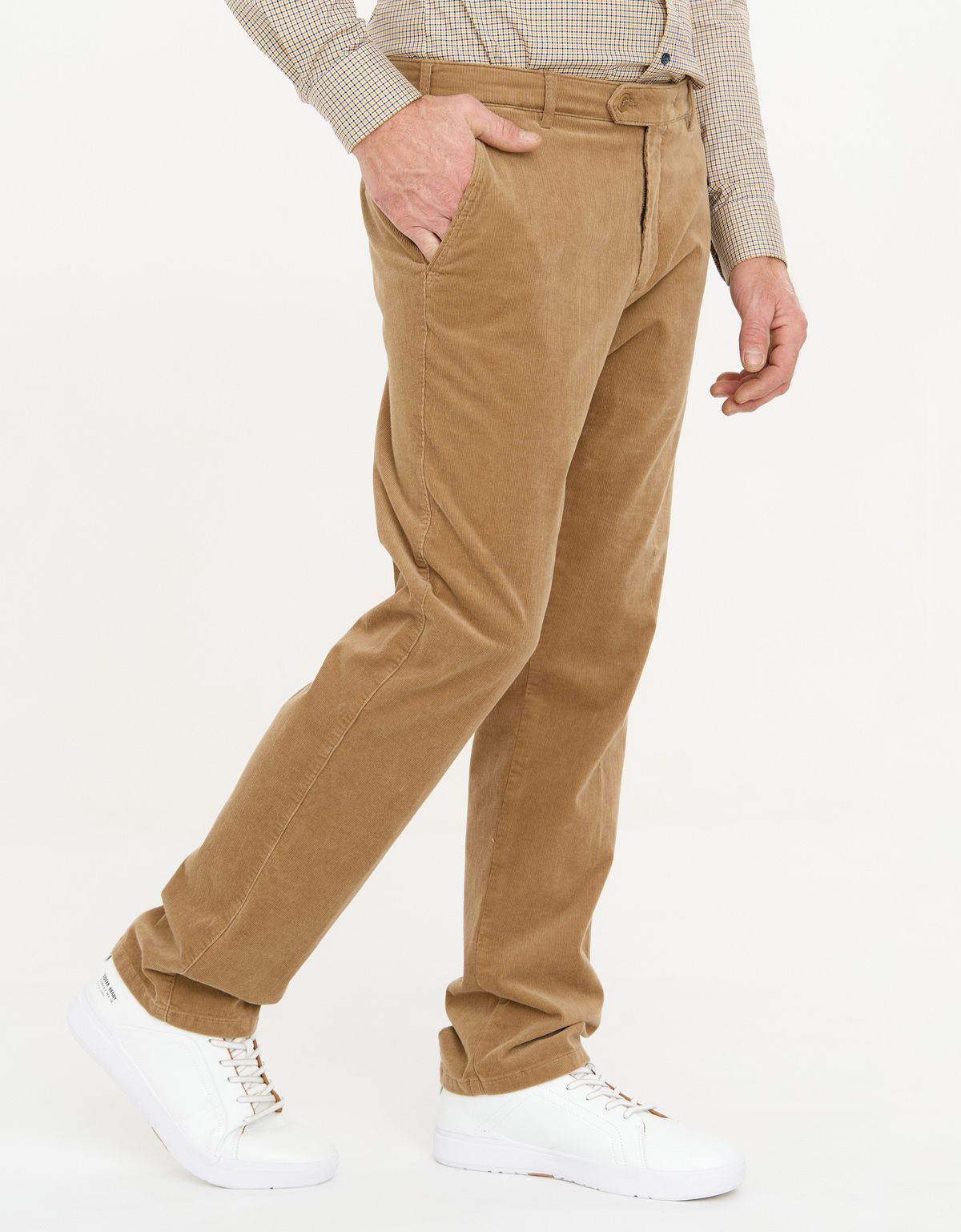 Брюки вельветовые бежевые w.Wegener | купить в интернет-магазине Olymp-Men