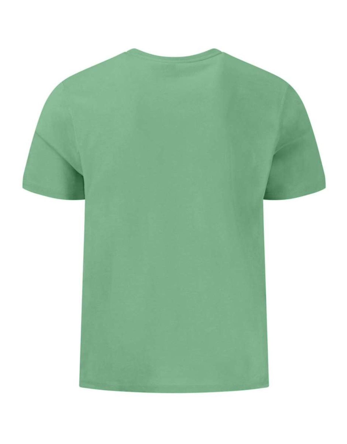 Футболка мужская зелёная однотонная Fynch-Hatton | купить в интернет-магазине Olymp-Men