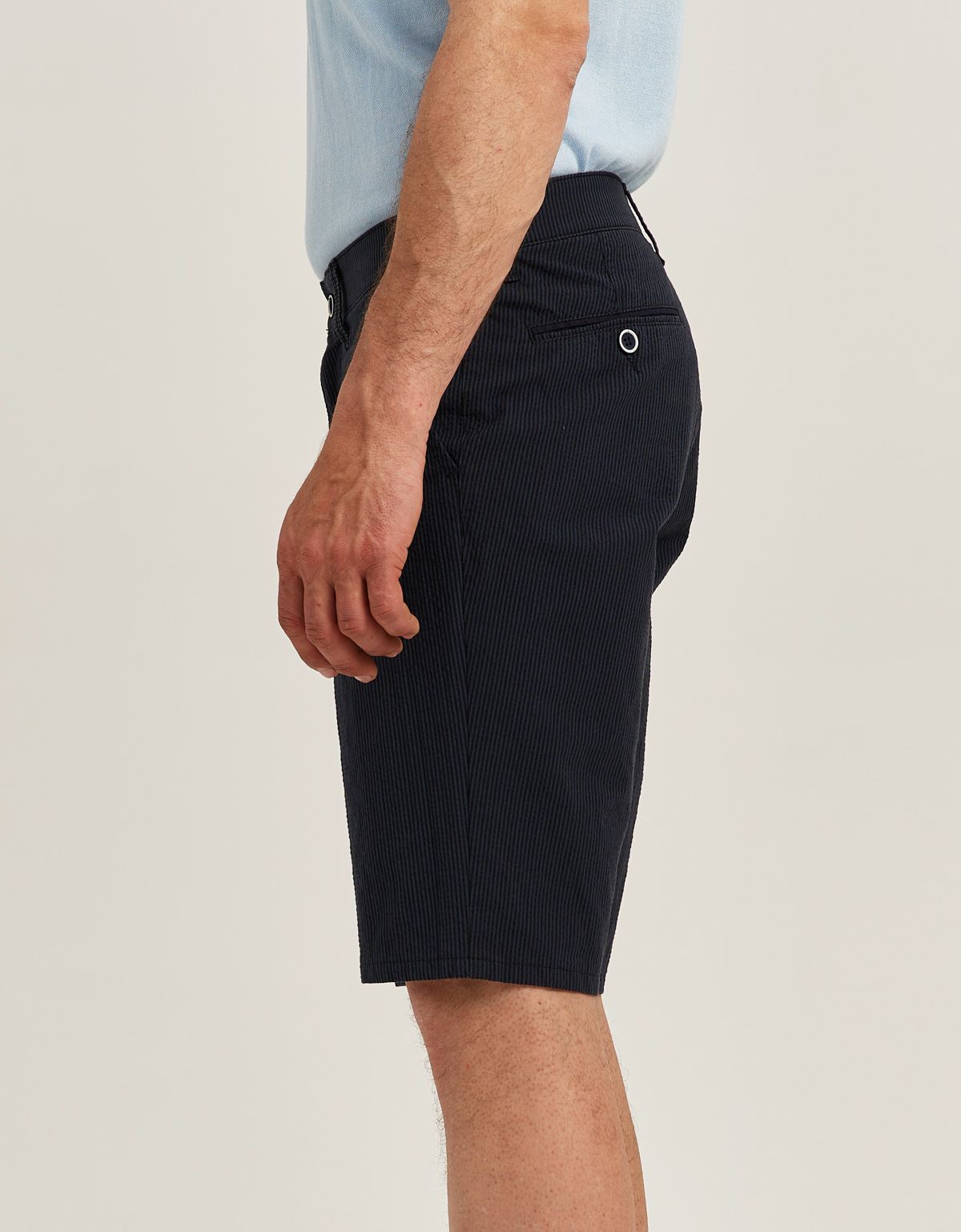 Шорты мужские Club Of Comfort в полоску | купить в интернет-магазине Olymp-Men