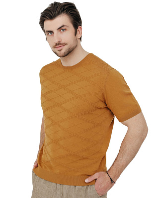 Джемпер мужской с коротким рукавом Gratude | интернет-магазин Olymp-Men