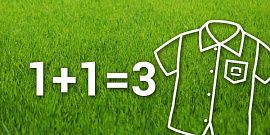 Акция! 1+1=3 в Olymp 
