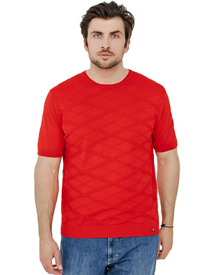 Джемпер мужской с коротким рукавом Gratude | интернет-магазин Olymp-Men